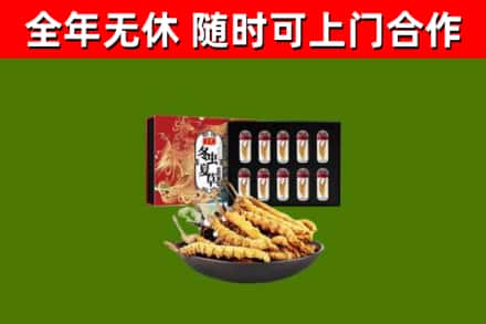 淮北回收冬虫夏草价格